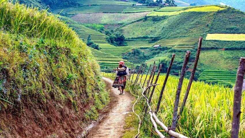when is the best time to visit vietnam