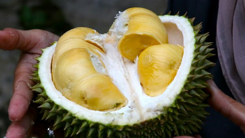 top exotic fruits you must try in Vietnam Saigon Ho Chi Minh motorbike scooter tour saigon by night after dark food tour day tour